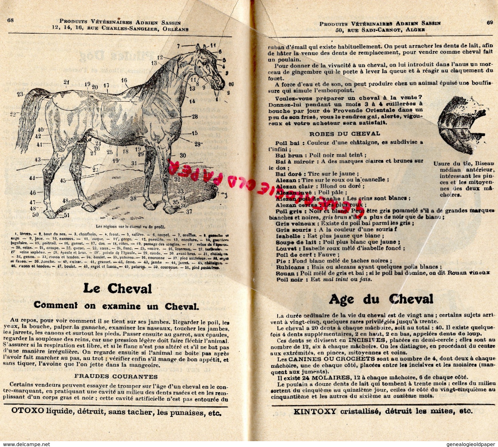 45 - ORLEANS - ALGERIE ALGER- TRES BEAU CATALOGUE ADRIEN SASSIN- PRODUITS VETERINAIRES -VETERINAIRE-1932-CHEVAL-CHIEN-