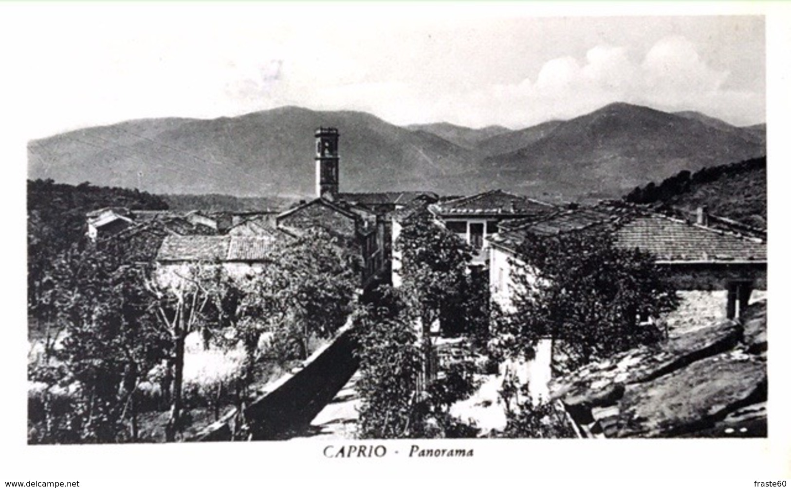 # Saluti Da Caprio - Panorama - (CP 14 Cm X 8,5cm) - Massa