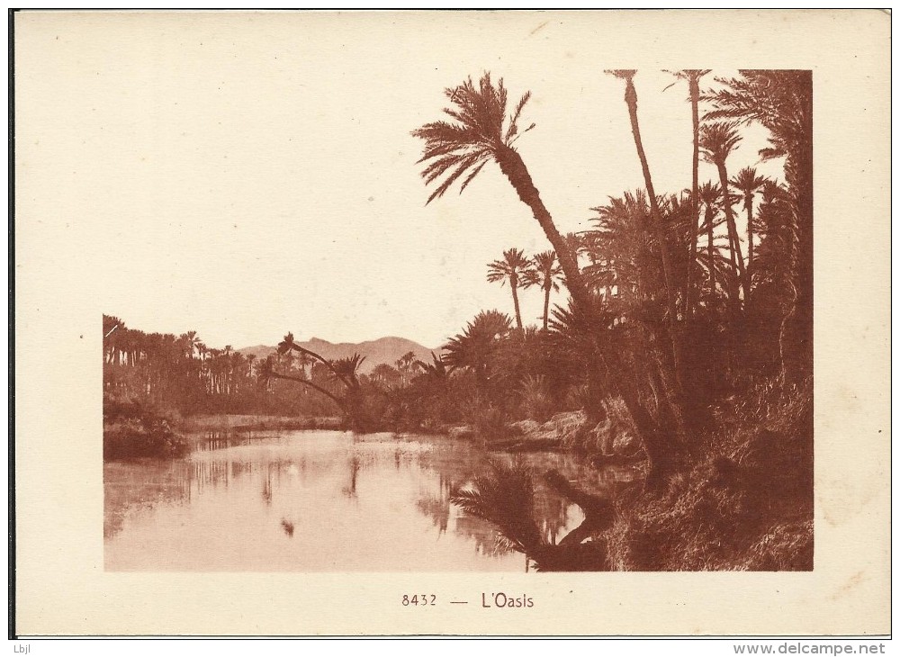 Feuille Cartonnée , Format 210x150 Mm , ALGERIE , L' Oasis , Editeur: ADIA à NICE , N° 8432 - Collections