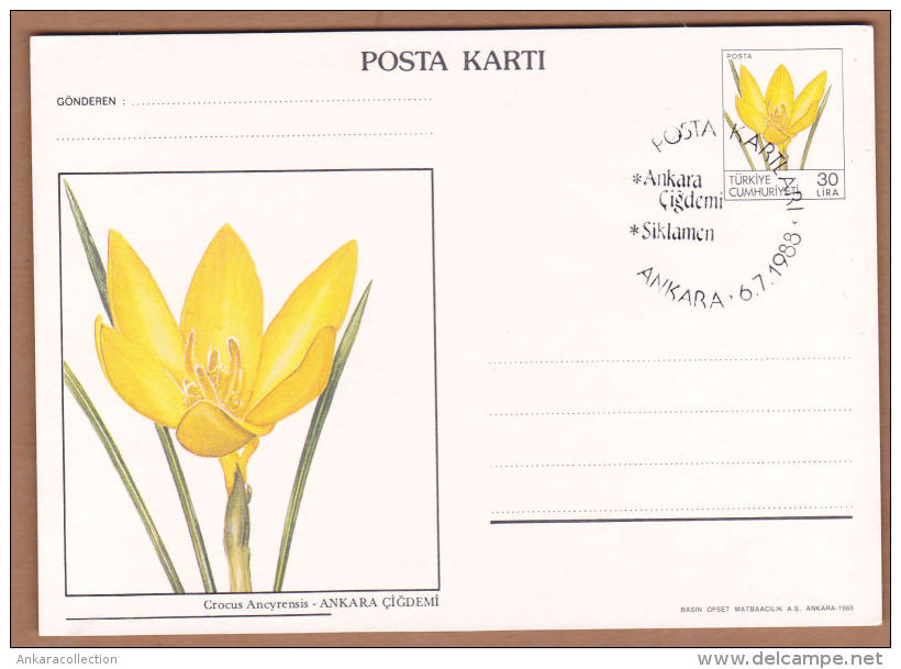 AC - TURKEY POSTAL STATIONARY - WITH ANKARA CROCUS ILLUSTRATION ANKARA 06 JULY 1988 - Entiers Postaux