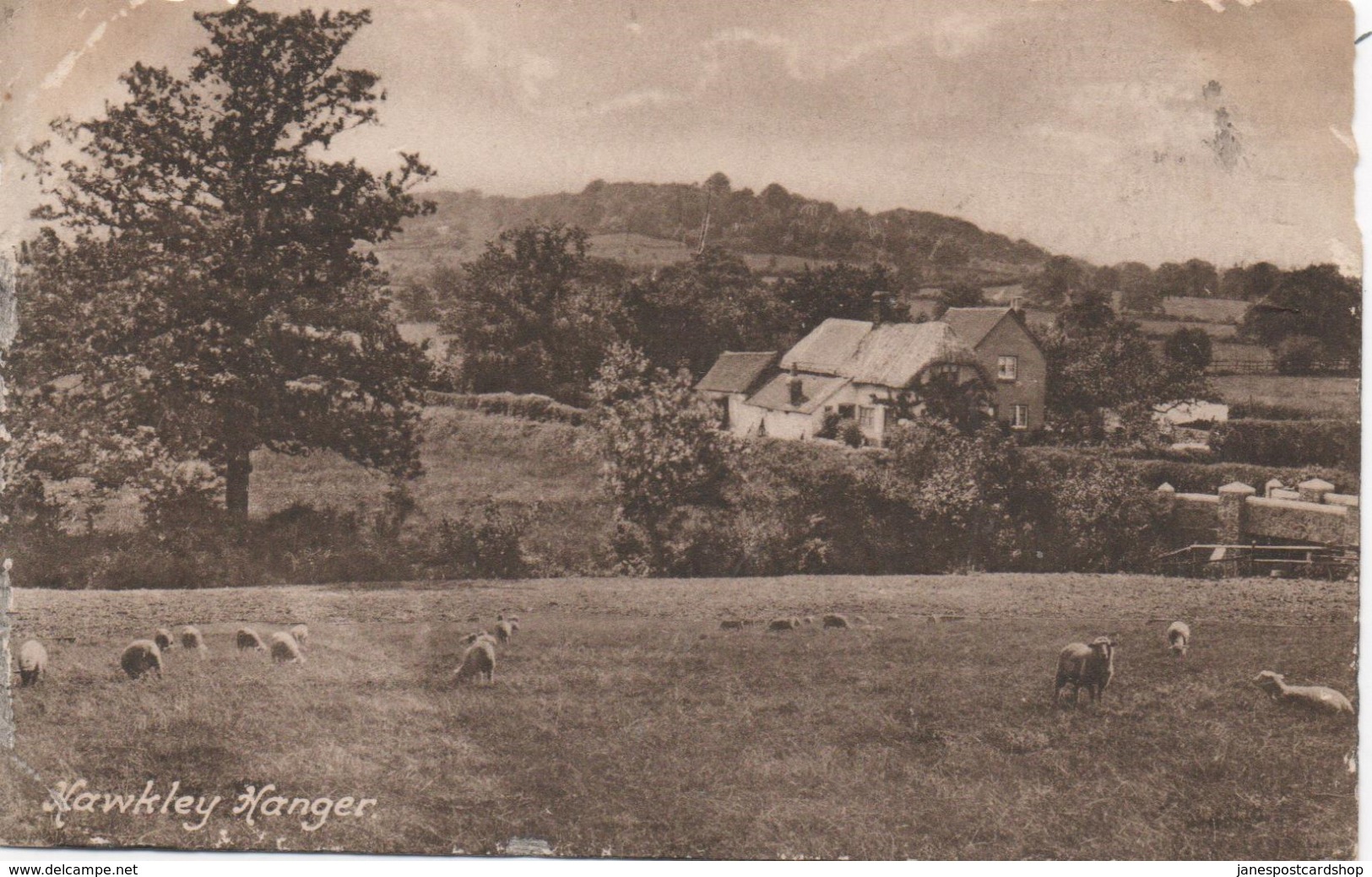 HAWKLEY HANGER - NR. PETERSFIELD - HAMPSHIRE - BRAMSHOTT CAMP POSTMARK - SOME DAMAGE TO EDGES - Other & Unclassified