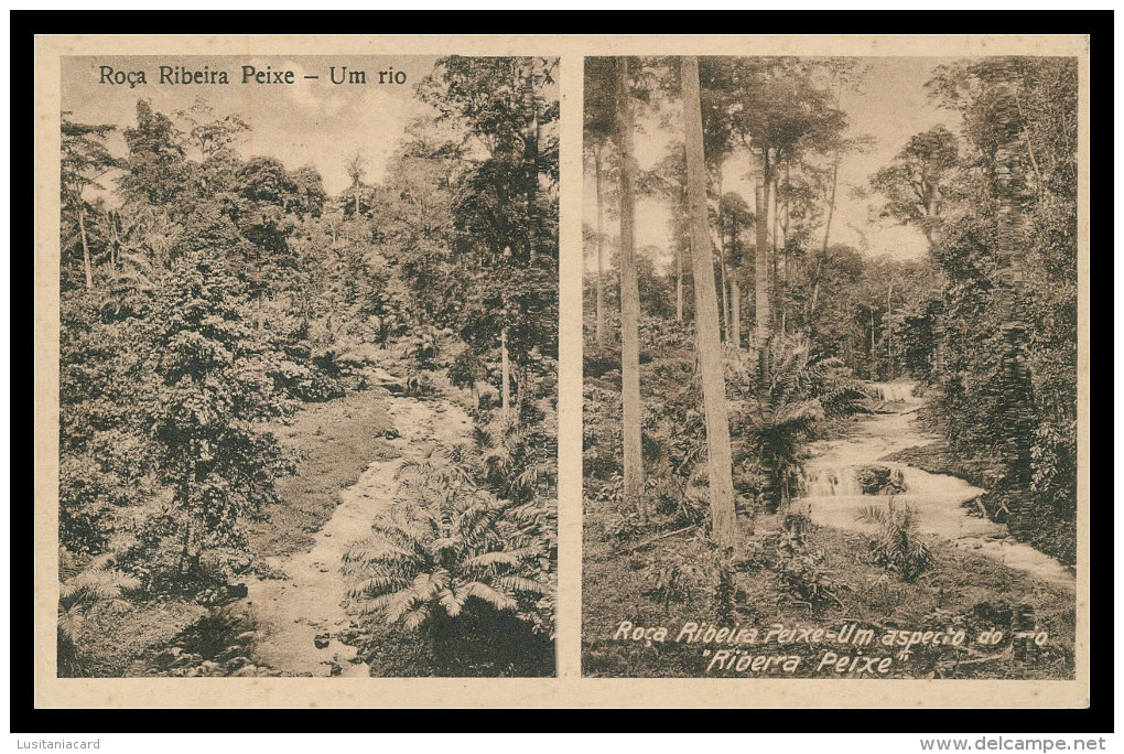 SÃO  TOMÉ E PRÍNCIPE - Roça Ribeira Peixe - Um Rio;um Aspecto Do Rio (Ed. Auspicio Menezes Nº T 9701) Carte Postale - Sao Tome En Principe