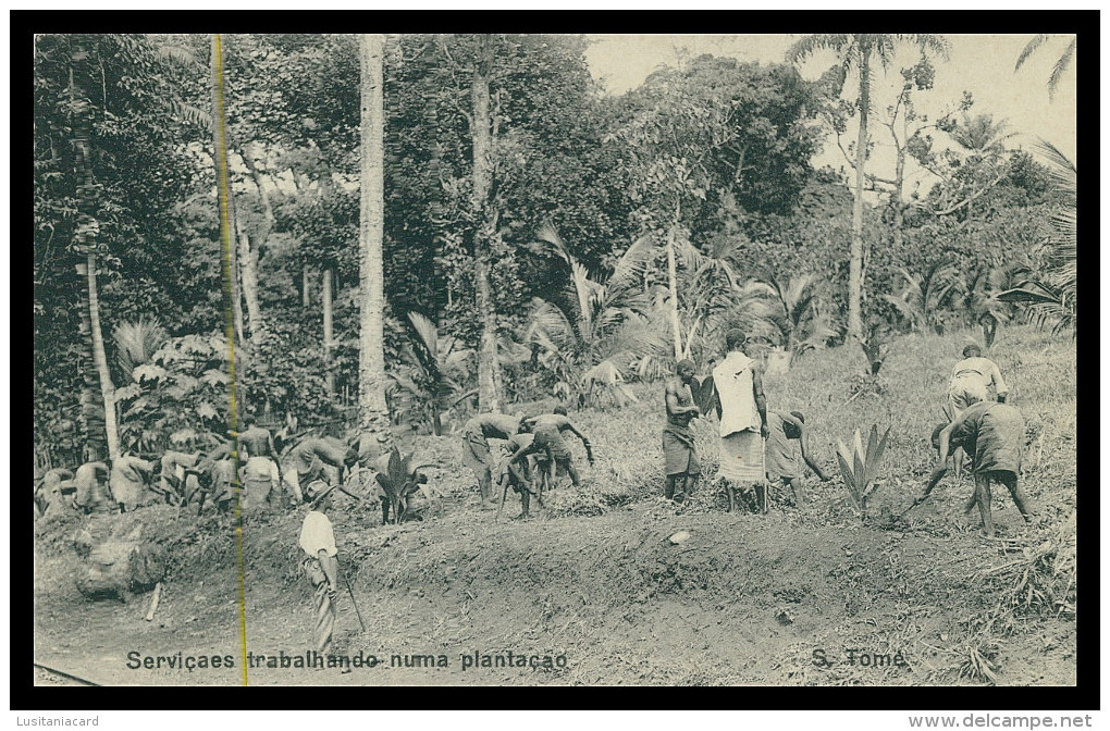 SÃO TOMÉ E PRÍNCIPE - Serviçaes Trabalhando Numa Plantação(Ed. Governo De S. Tomé E Principe R-S/477/1928) Carte Postale - Sao Tome En Principe