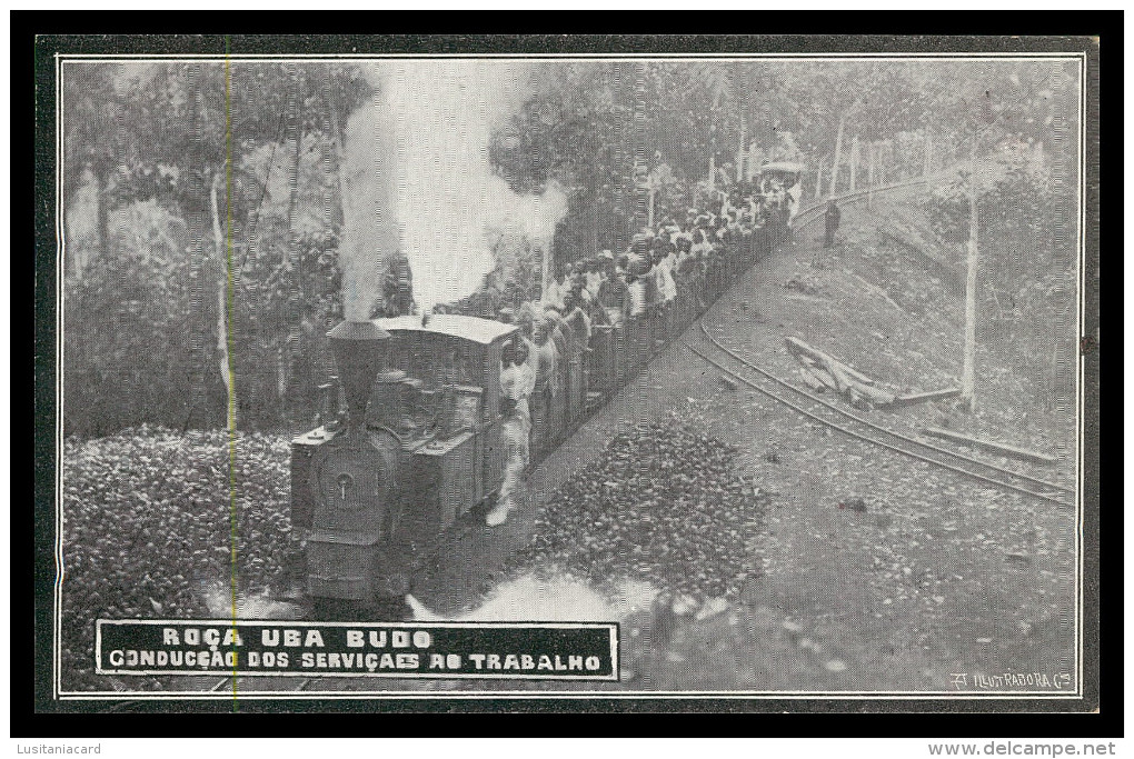 SÃO TOMÉ E PRÍNCIPE- Roça Uba Budo - Condução Dos Serviçaes Ao Trabalho (Ed. "A Ilustradora") Carte Postale - Sao Tome Et Principe