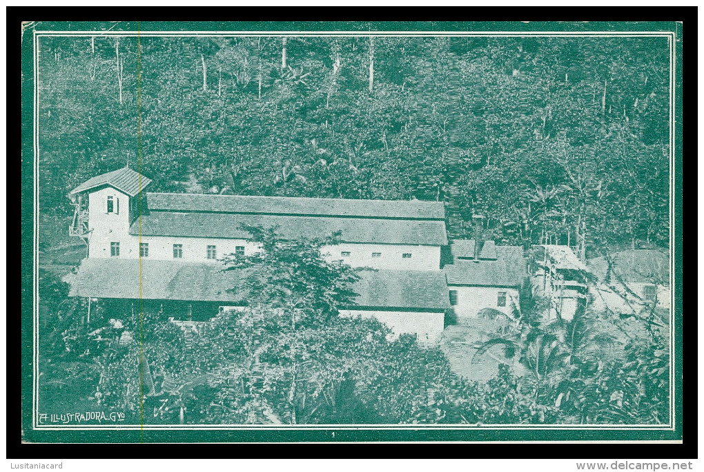 SÃO TOMÉ E PRÍNCIPE -  (Ed. "A Ilustradora") Carte Postale - Sao Tome En Principe