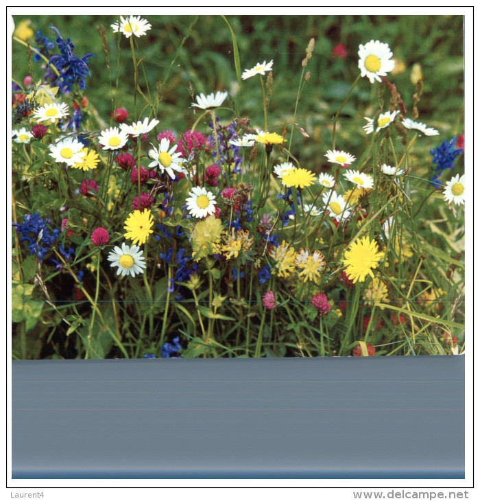 (DEL 254) Flowers - Fleurs - Champetres - Plantes Médicinales