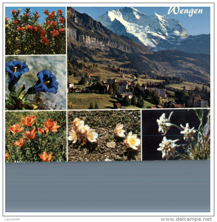 (DEL 254) Flowers - Fleurs - Wengen - Plantes Médicinales