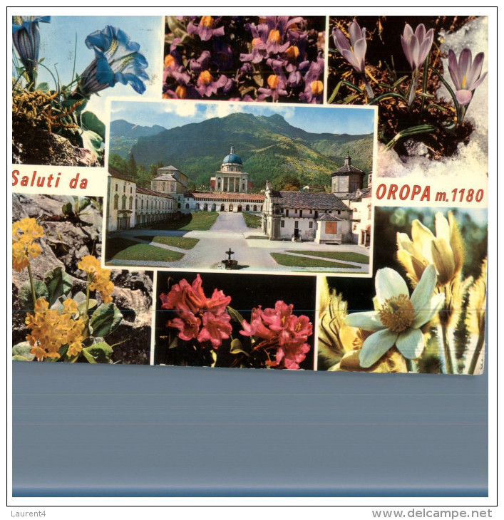 (DEL 254) Flowers - Fleurs - Oropa - Plantes Médicinales