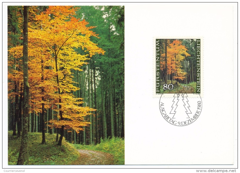 LIECHTENSTEIN - Der Wald In Den Jahrezeiten - Saisons Dans La Forêt - 4 Cartes Officielles - Environment & Climate Protection