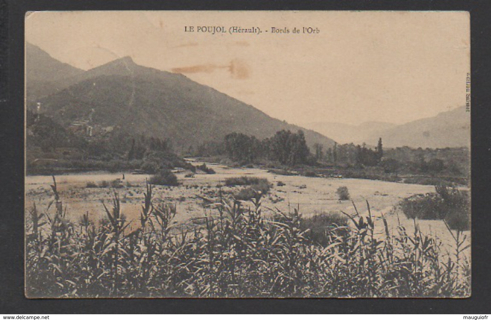 DF / 34  HERAULT / LE POUJOL / BORDS DE L'ORB / CIRCULÉE EN 1912 - Other & Unclassified