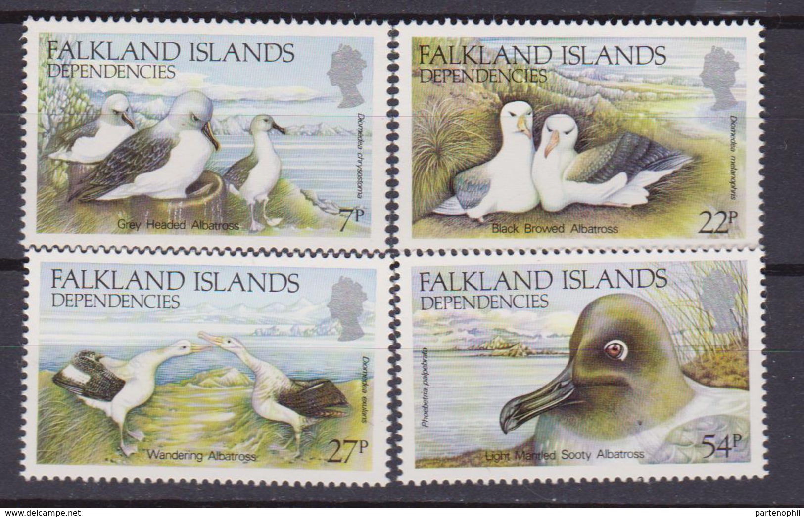 Falkland Is. Dependencies 141/44 UCCELLI BIRDS MNH - Falkland