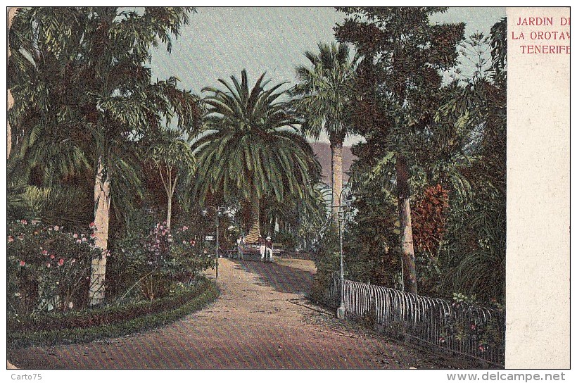 Espagne - Islas Canarias - Jardin De La Orotava - Tenerife - Tenerife