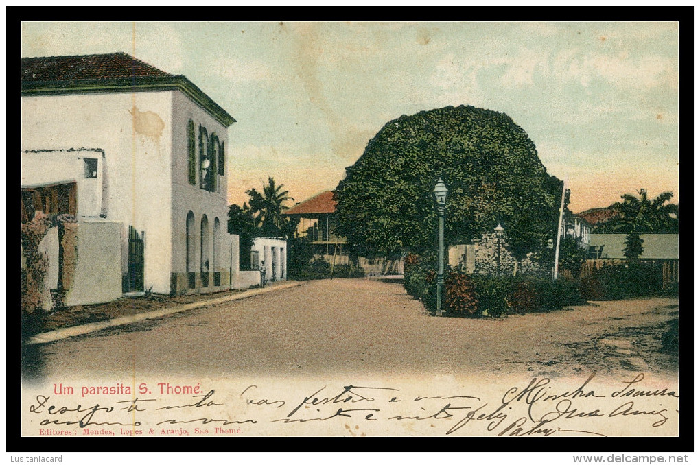 SÃO TOMÉ E PRÍNCIPE - Um Parasita, S. Thomé  (Mendes Lopes & Araujo) Carte Postale - Sao Tome En Principe