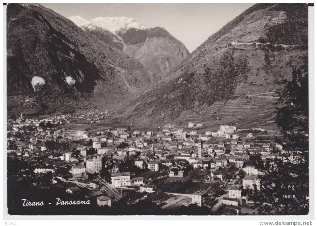 TIRANO - PANORAMA 1964 - Otros & Sin Clasificación