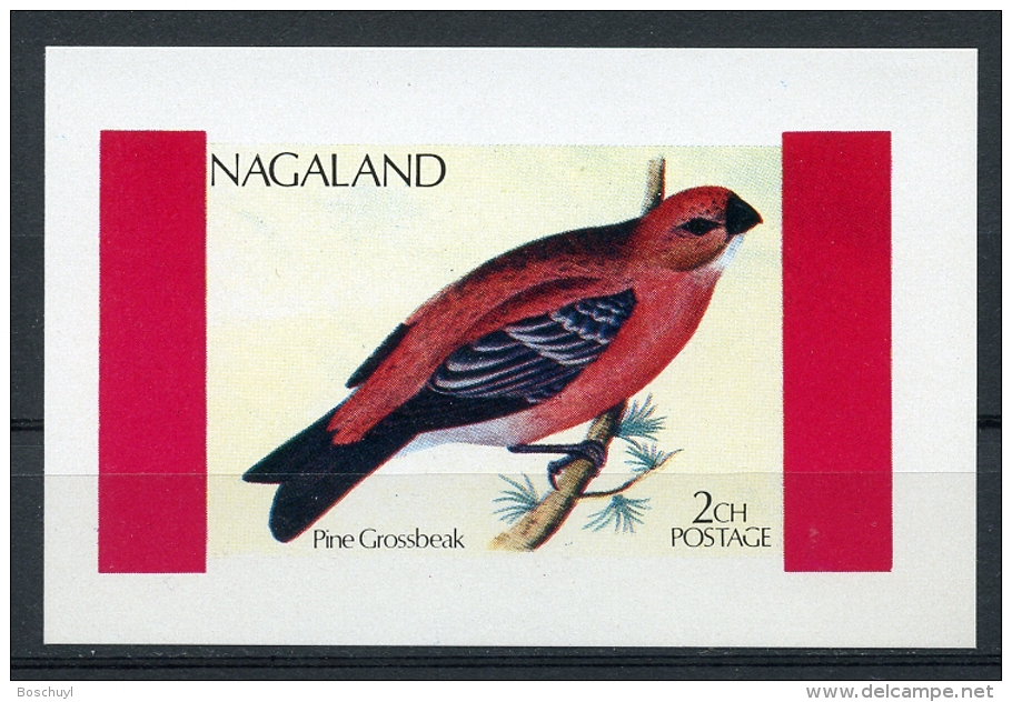 Nagaland, Birds, MNH Imperforated Cinderella Sheet - Autres & Non Classés