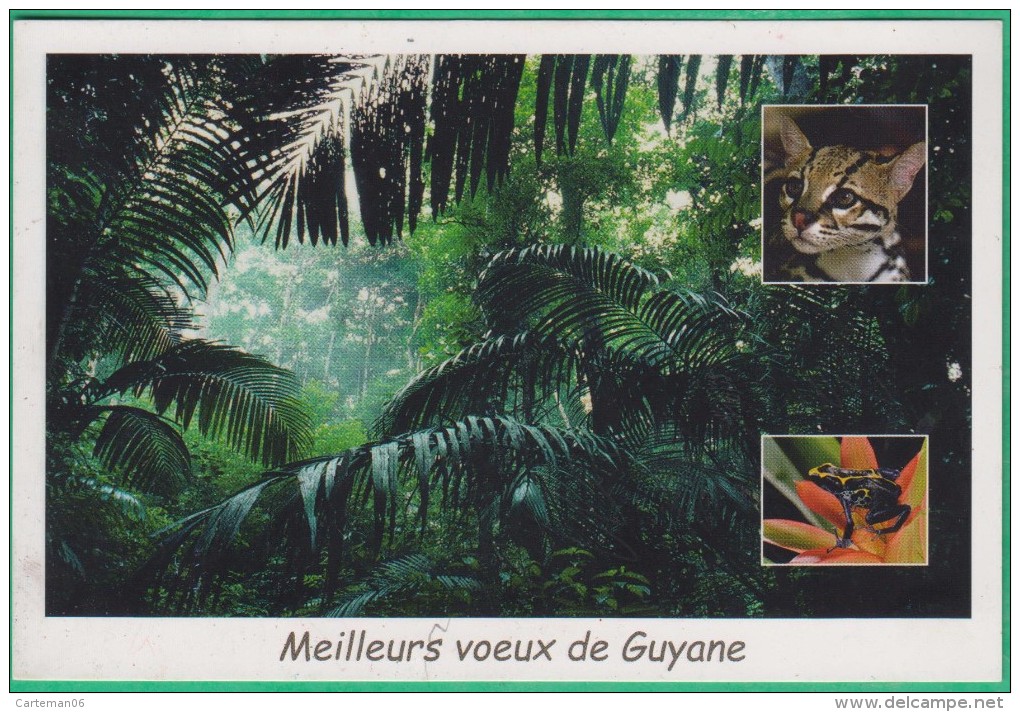 Guyane - Forêt (faune, Animaux) - Editeur: Plume Verte N°VV33 - Sonstige & Ohne Zuordnung