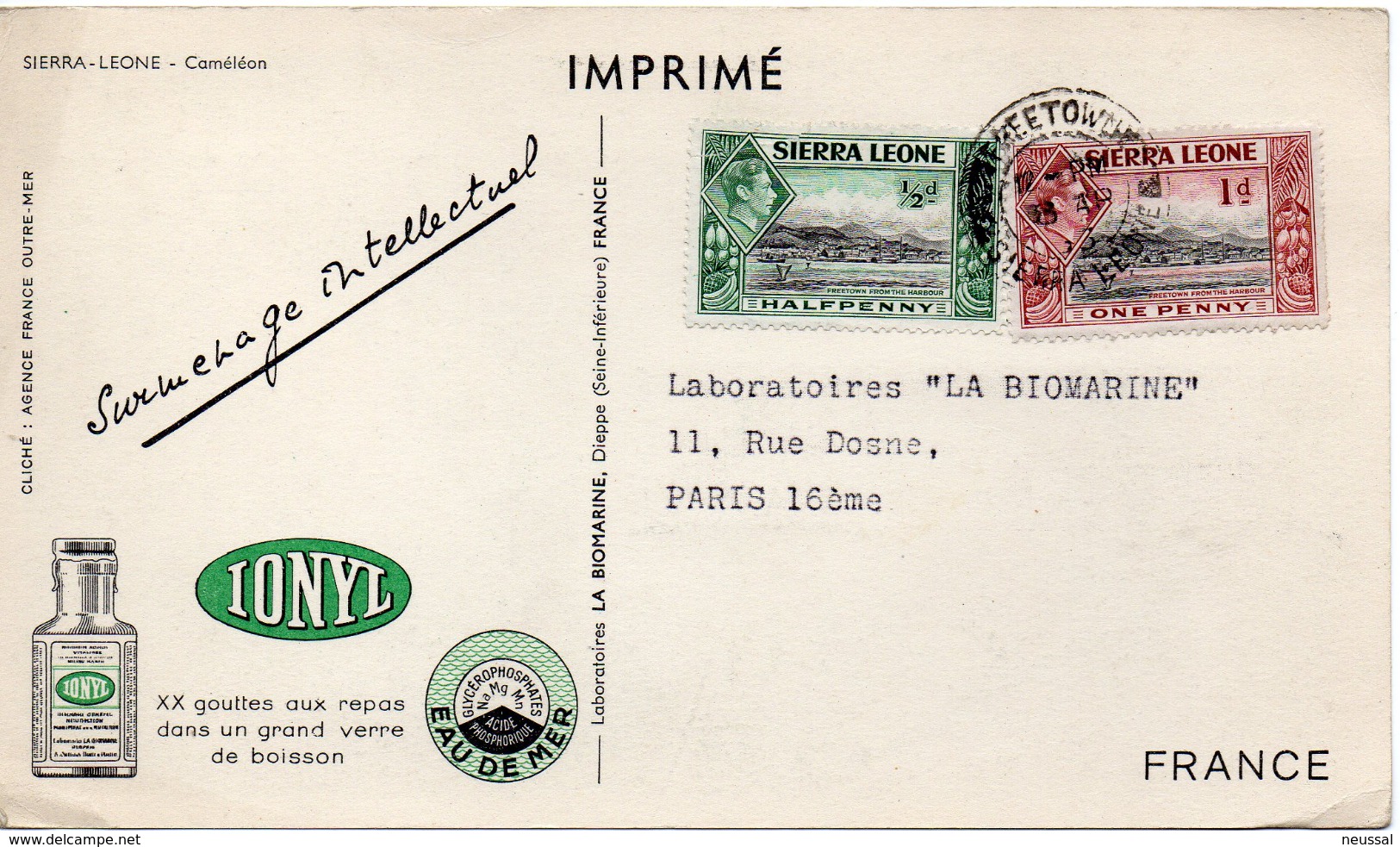 Tarjeta Postal De Un Camaleon Circulada Con Publicidad. - Sierra Leone (...-1960)