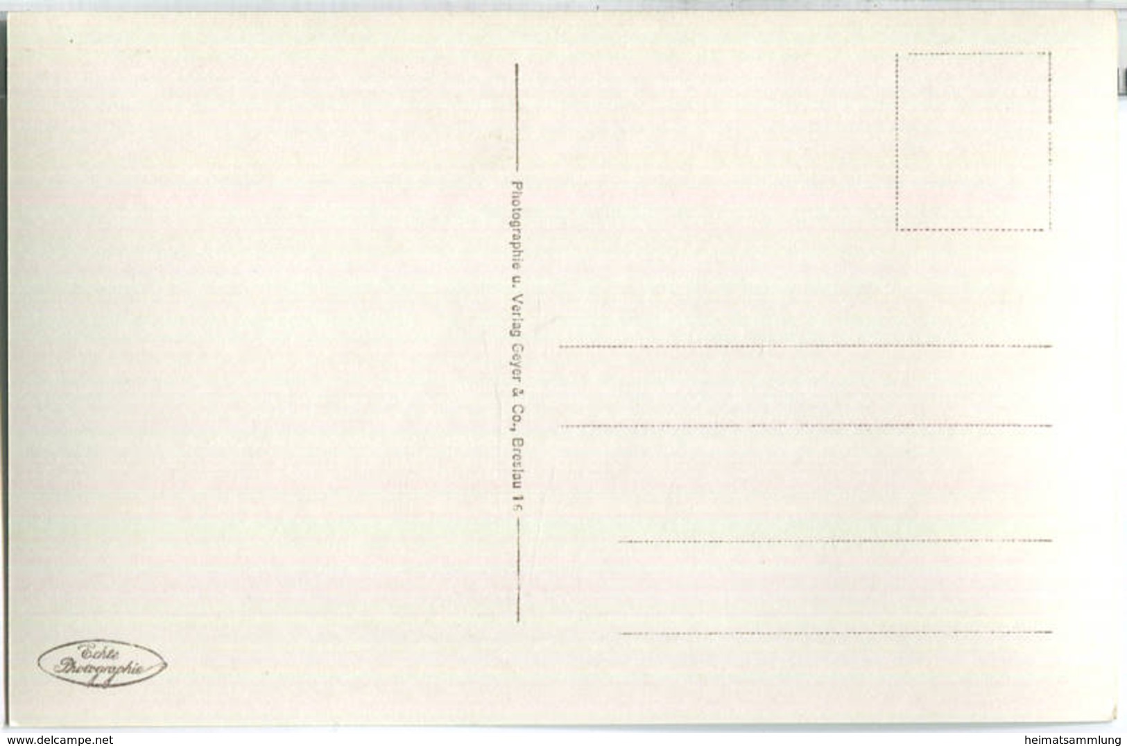 Brunshaupten - Rehwiese - Foto-Ansichtskarte - Kuehlungsborn