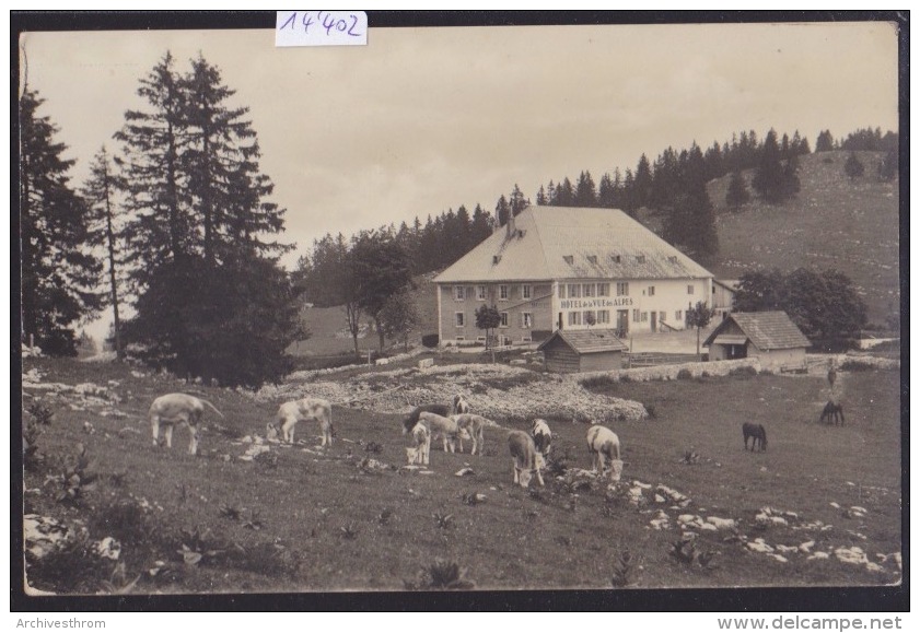 Cernier - Hôtel De La Vue Des Alpes Tel. 103 - Propr. Charles Nobs (14´402) - Cernier