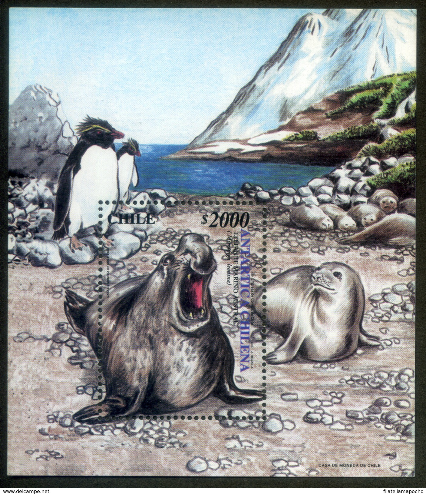 CHILE ESTAMPILLA 2000; BLOCK SOUVENIR &ldquo;ANTARTICA CHILENA&rdquo;. - Chili