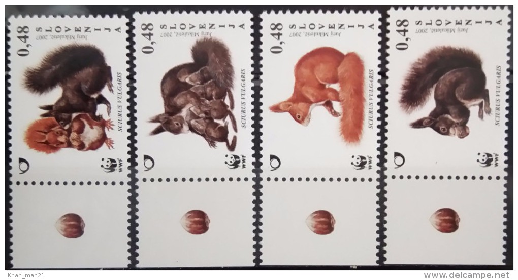 Slovenia, 2007, Mi. 636-39, Sc. 714-17, SG 755-58, WWF, Animals, Squirrel, MNH - Nuevos