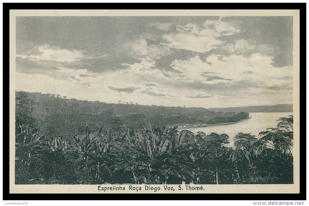 SÃO TOMÉ E PRÍNCIPE - Espreiinha Roça Diogo Voz. Carte Postale - Sao Tome Et Principe