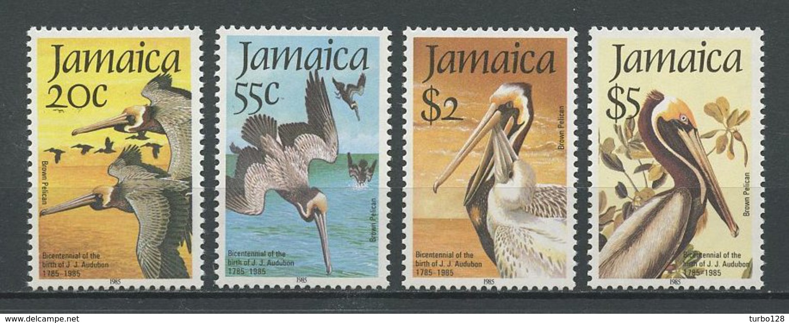 JAMAIQUE 1985  N° 616/619 ** Neufs MNH Superbes Cote 15 &euro; Faune Oiseaux Pélicans Ornithologue Audubon Birds Animaux - Jamaique (1962-...)