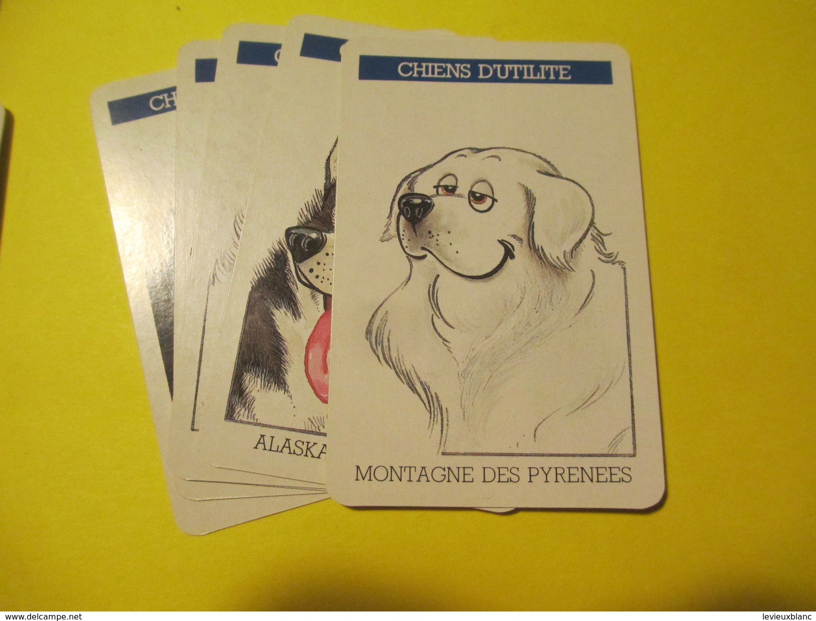 Jeux 7 Familles  à Théme/Carta Mundi / "Chiens Et Chats "/Turnout / BELGIQUE/Vers 1990  CAJ17 - Autres & Non Classés