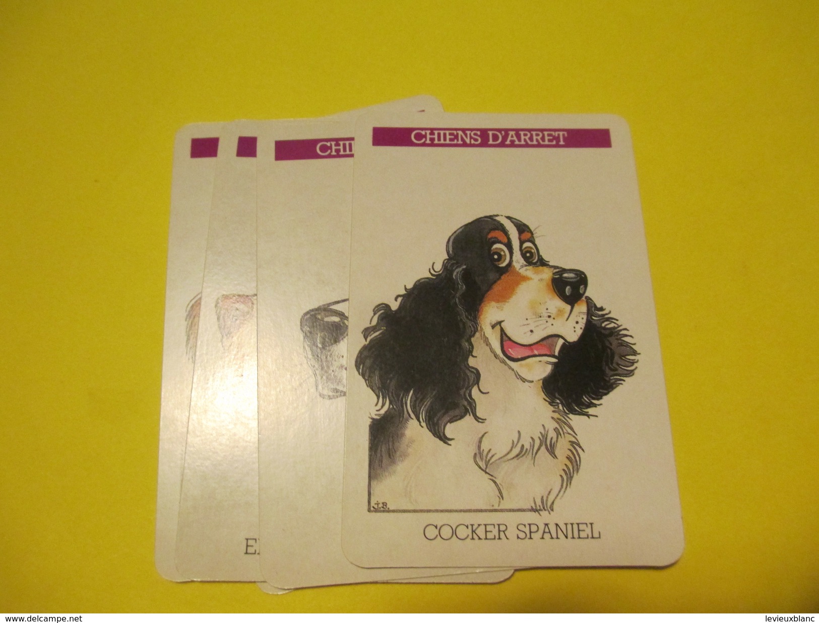 Jeux 7 Familles  à théme/Carta Mundi / "Chiens et Chats "/Turnout / BELGIQUE/Vers 1990  CAJ17