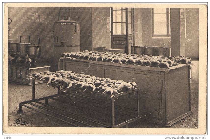 **59**   -  DUNKERQUE -  Zuydcote Sanatorium National Vancauwenberghe  Poulets Brossés TTB - Autres & Non Classés