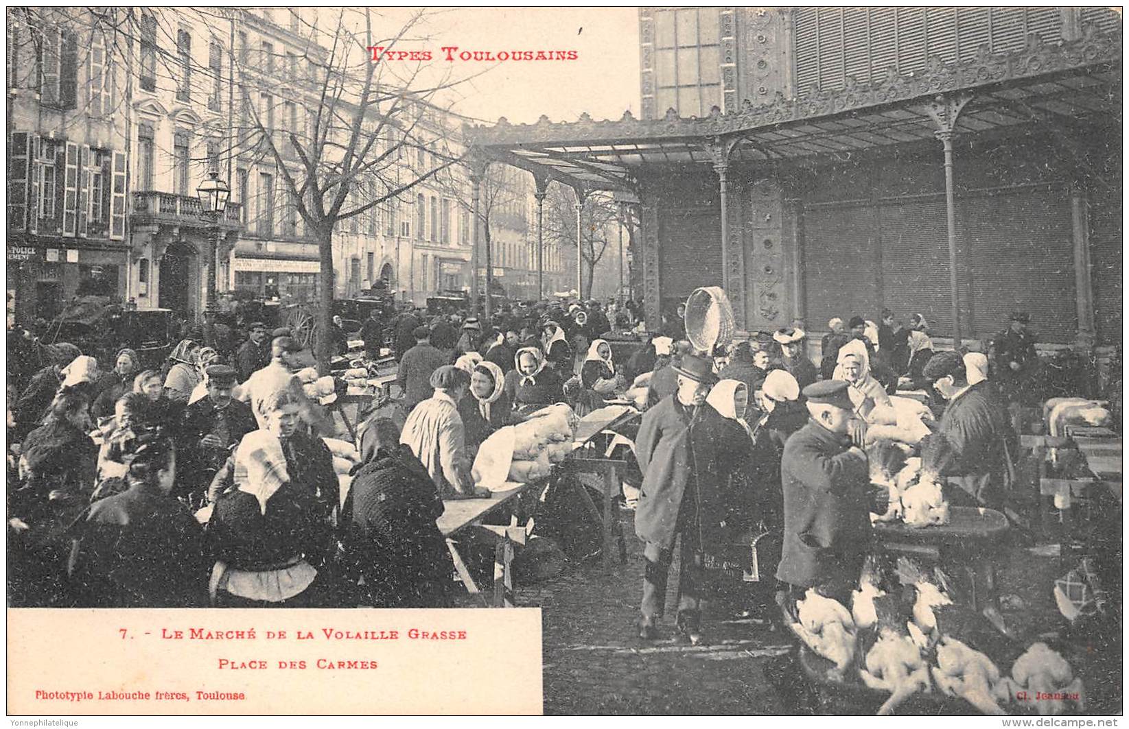 31 - HAUTE GARONNE / Toulouse - Types Toulousains - Le Marché De La Volaille Grasse Place Des Carmes - Toulouse