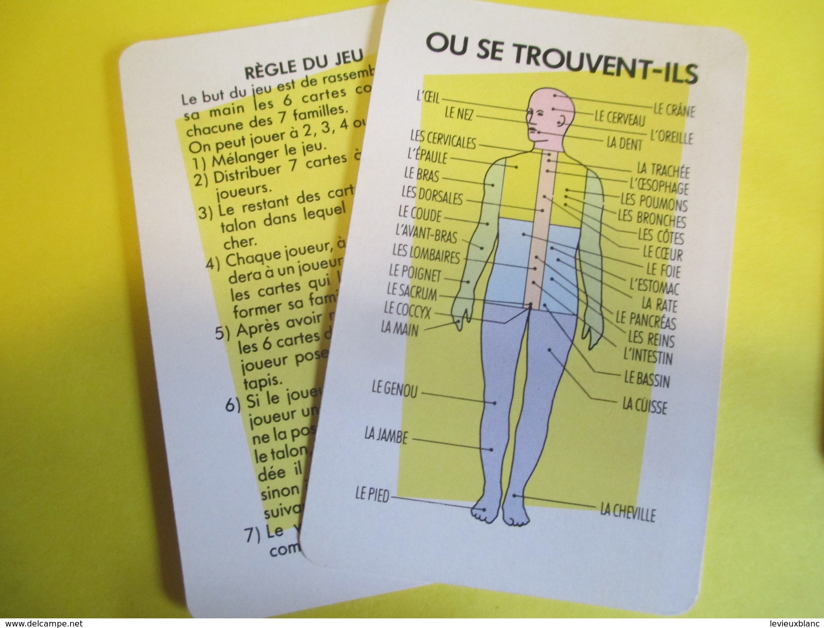 Jeux 7 Familles publicitaire à théme/Laboratoires Biogalénique/"Le Corps humain"/Carta Mundi/Turnout/Belgique/1989 CAJ20