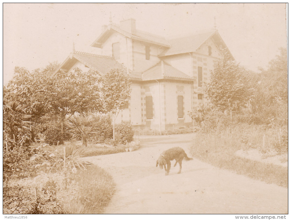 Photo Années 1900 NOGARO - Une Villa, Un Château (A159) - Nogaro