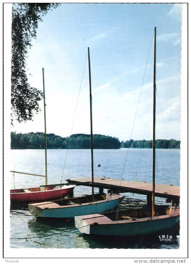 Hofstade (Zemst-Vlaams-Brabant)-Rijksdomein Te Hofstade-Bloso-Centrum-Boot-Boat-Bateau-Zeilinitiatie - Zemst