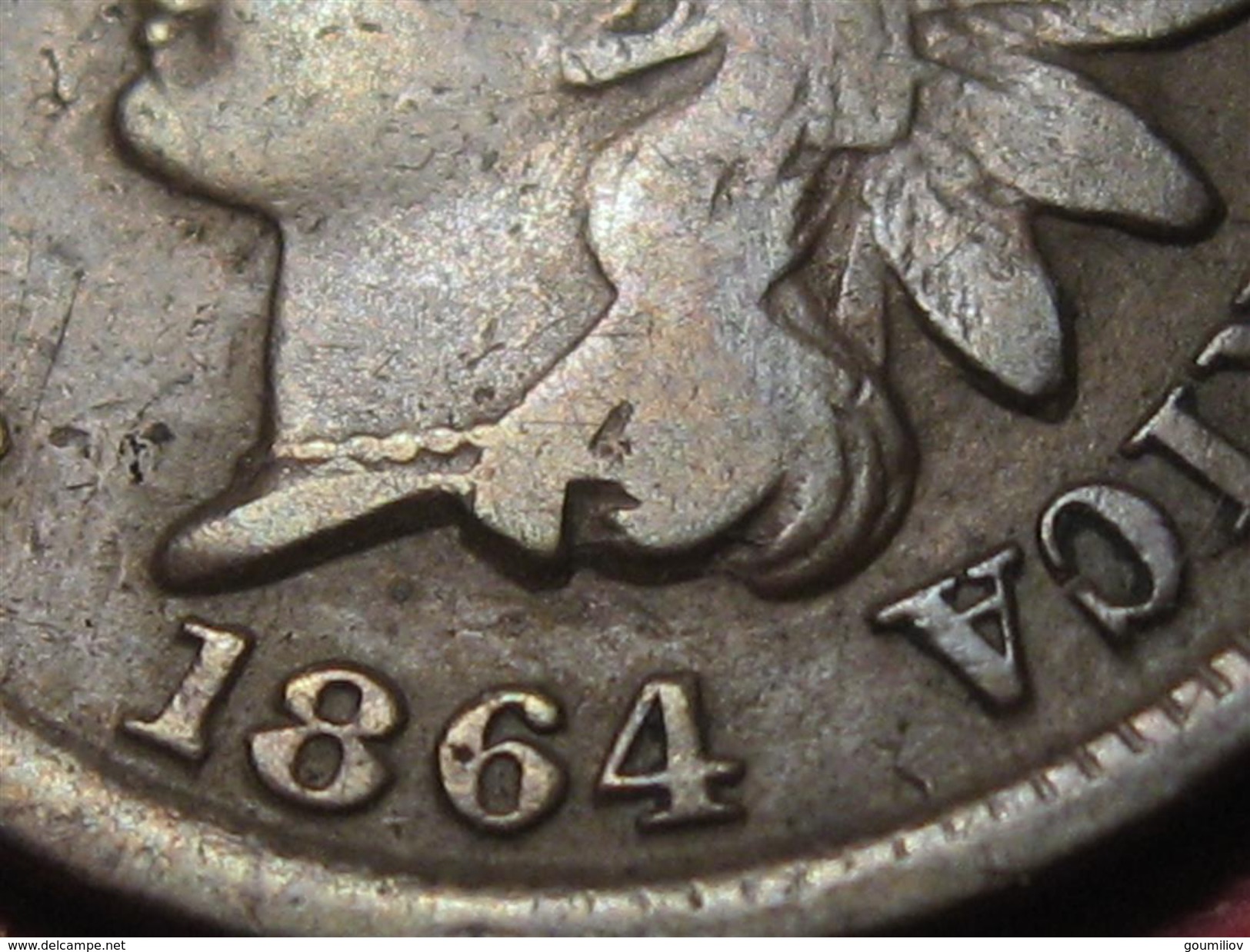 Etats-Unis - USA - One Cent 1864 5631 - 1859-1909: Indian Head