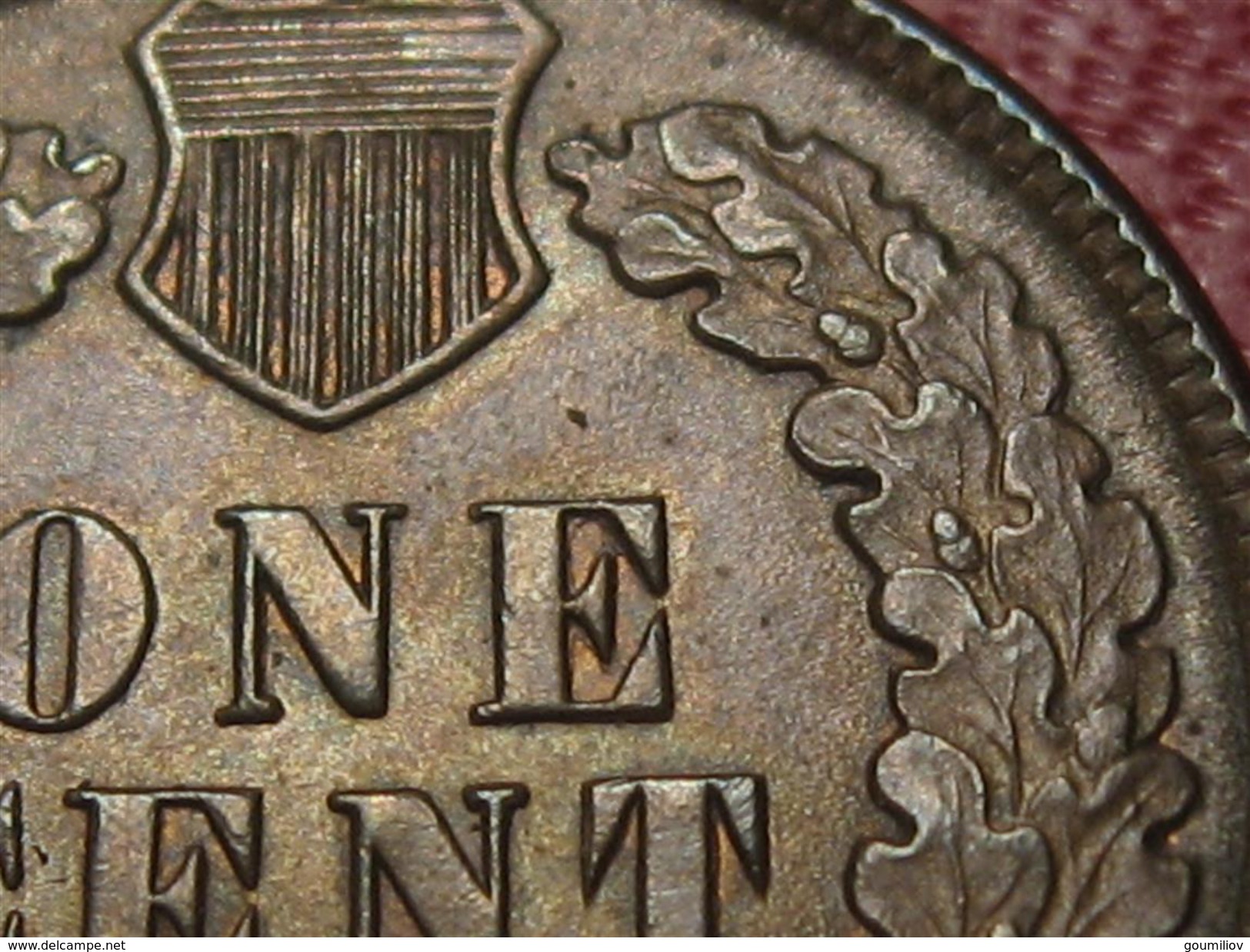 Etats-Unis - USA - One Cent 1893 5637 - 1859-1909: Indian Head