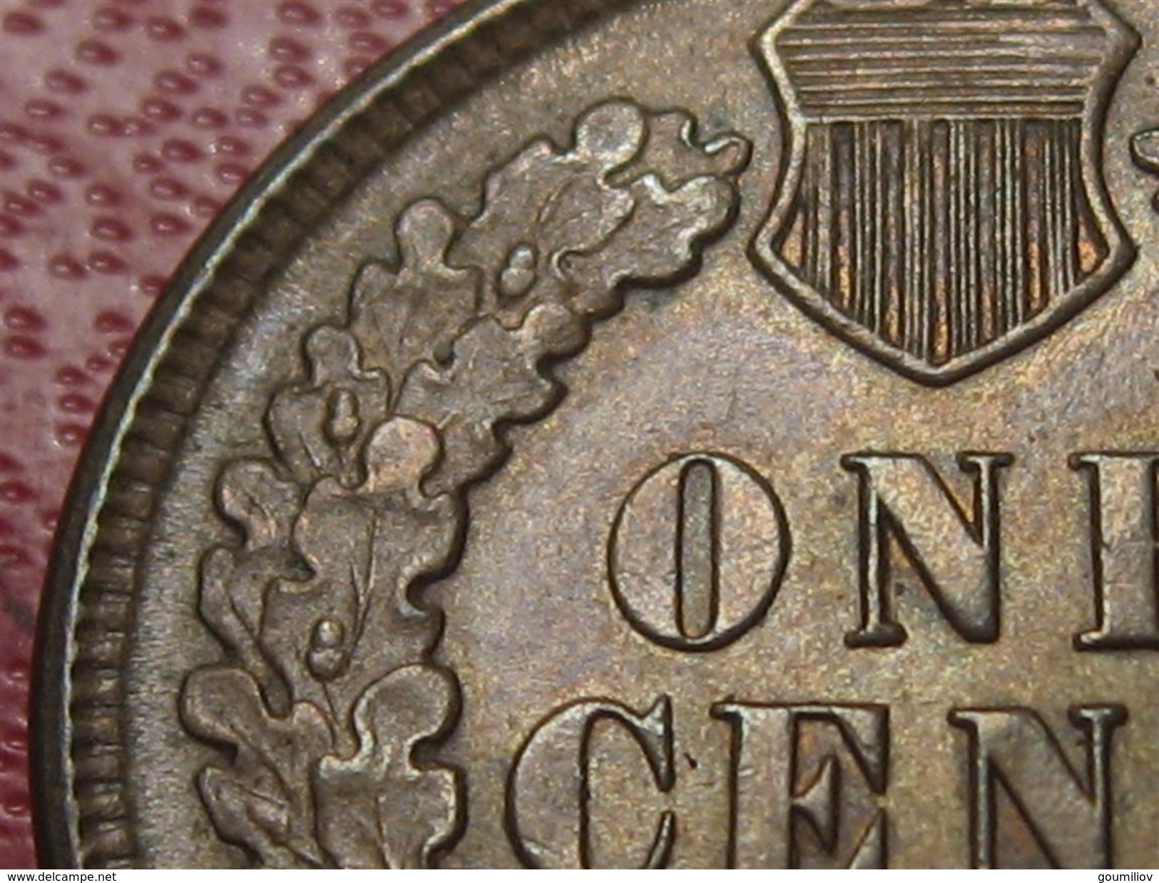 Etats-Unis - USA - One Cent 1893 5637 - 1859-1909: Indian Head