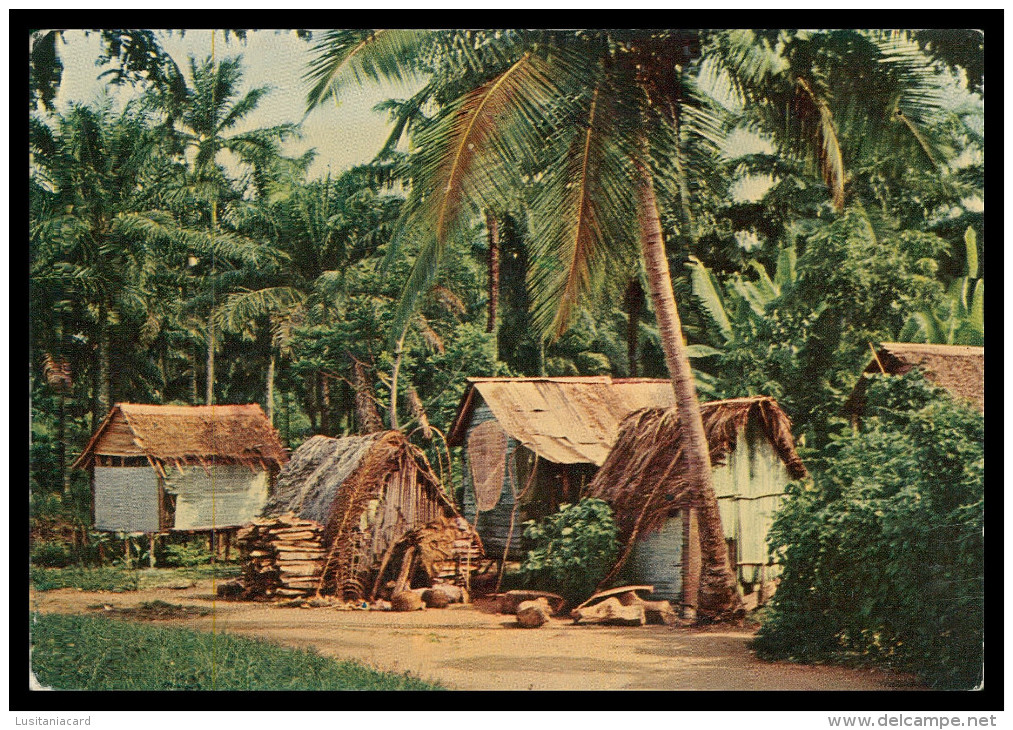 SÃO TOMÉ E PRÍNCIPE - Acampamento De Pescadores No Pantufo ( Cliché M. Silva Brito Nº 013) Carte Postale - Sao Tome Et Principe