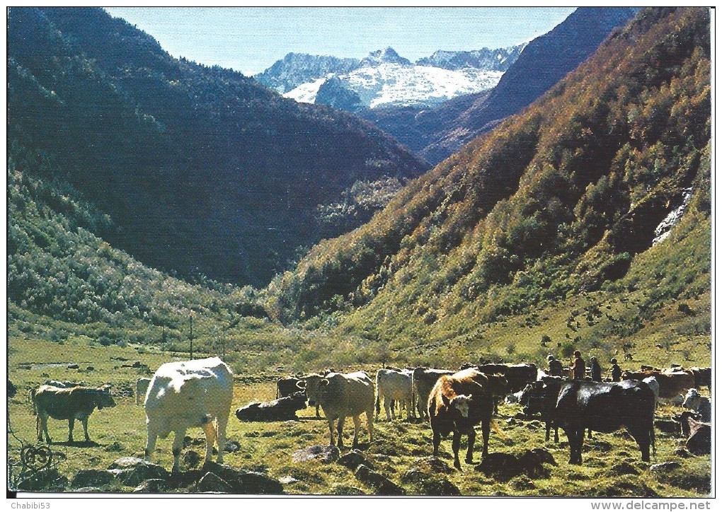 En Parcourant Les Pyrénées - Midi-Pyrénées