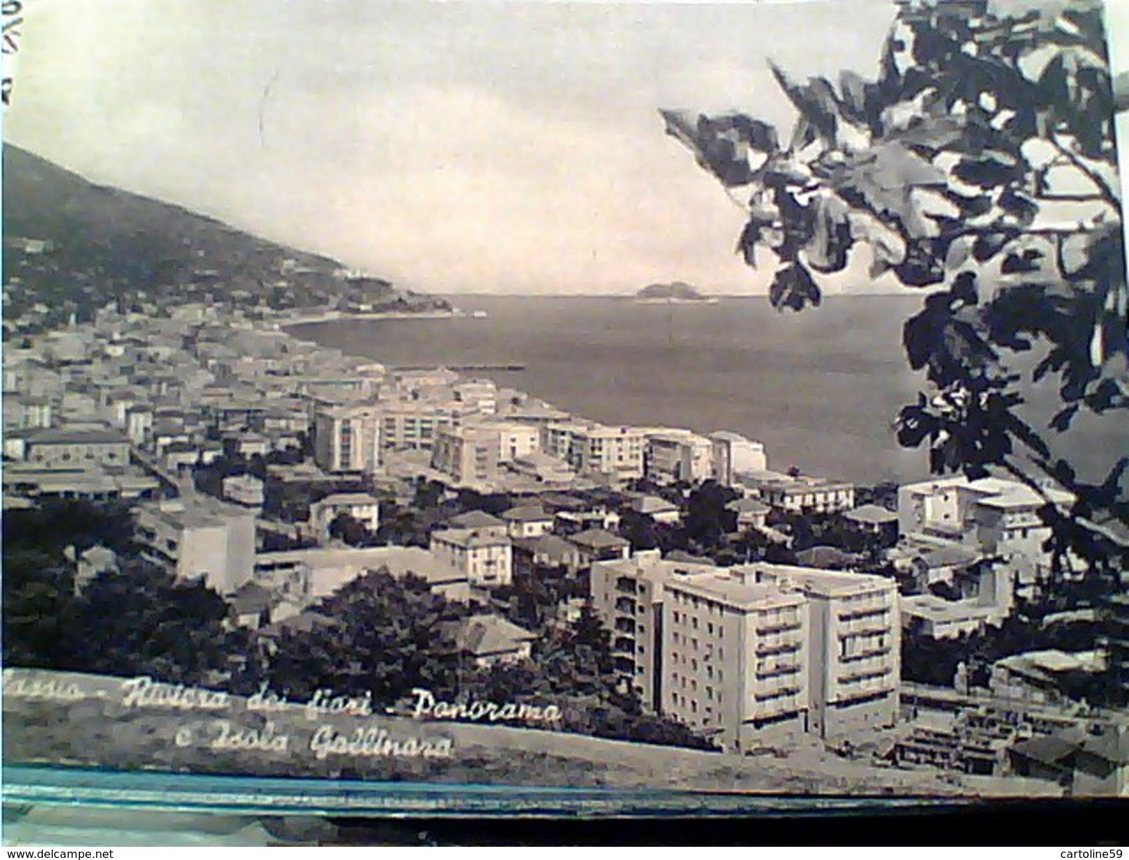 19 CARD ALASSIO VARIE VEDUTE  VB1956/68 FT7888 - Savona