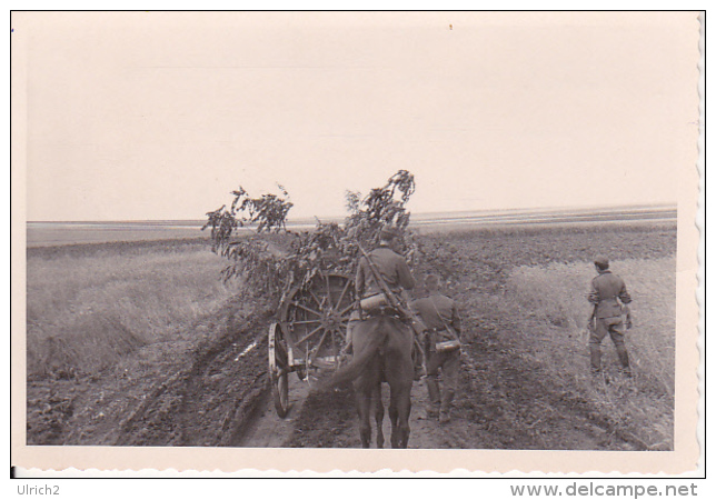 Foto Vormarsch In  Bessarabien - Deutsche Armee - Getreidefelder - Juli 1941 - 9*5,6cm (25797) - Krieg, Militär