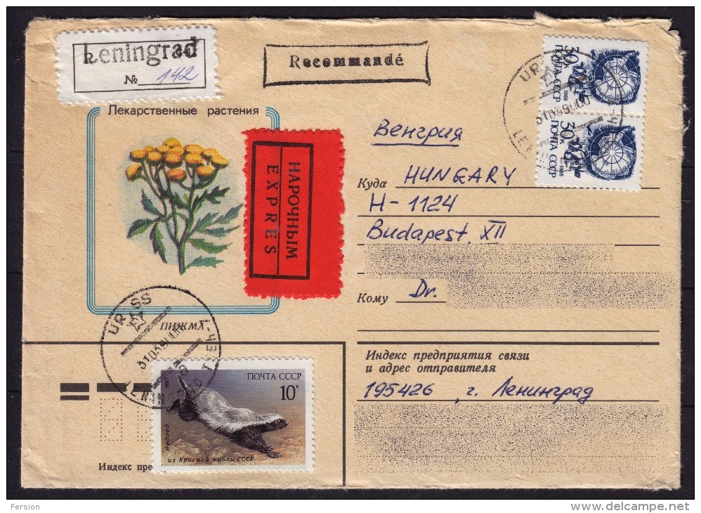 Penguin South Pole Penguins / Honey Badger - Leningrad 1990 CCCP Herb Plant Flower COVER LETTER / Express / Registered - Faune Antarctique