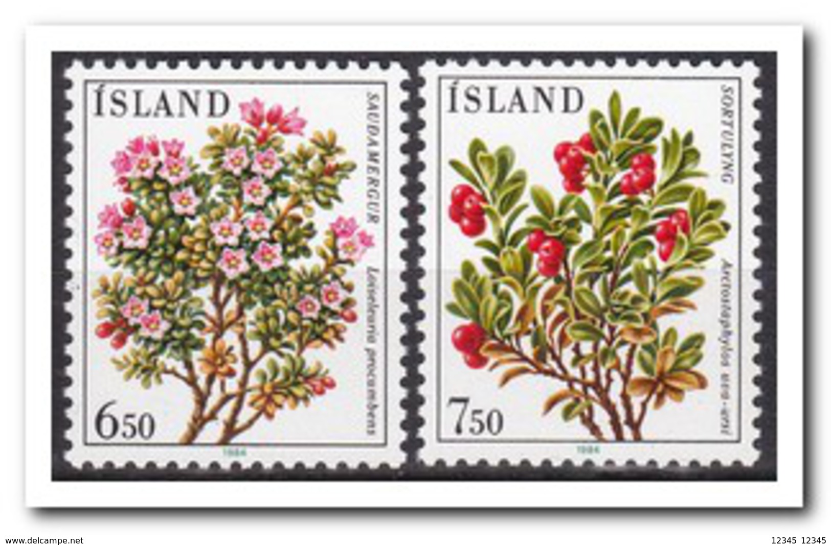 IJsland 1984, Postfris MNH, Flowers, Plants - Unused Stamps