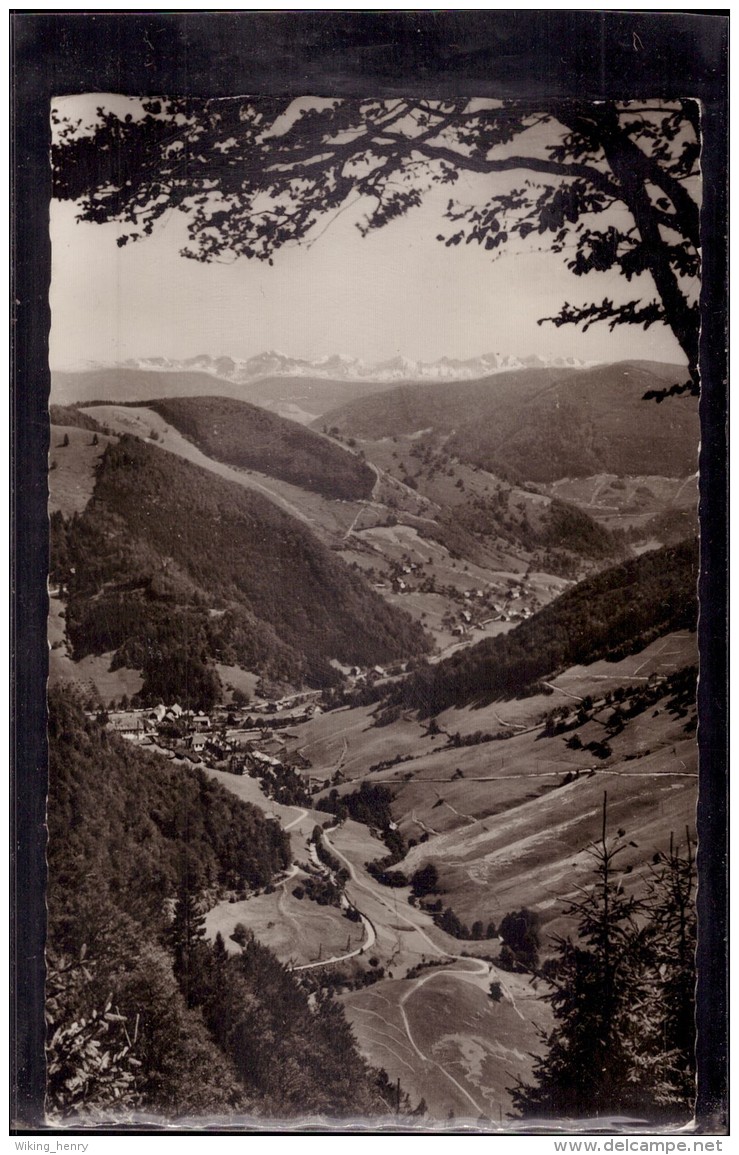 Todtnau Todtnauberg - S/w Blick Ins Wiesental Und Auf Die Alpen - Todtnau