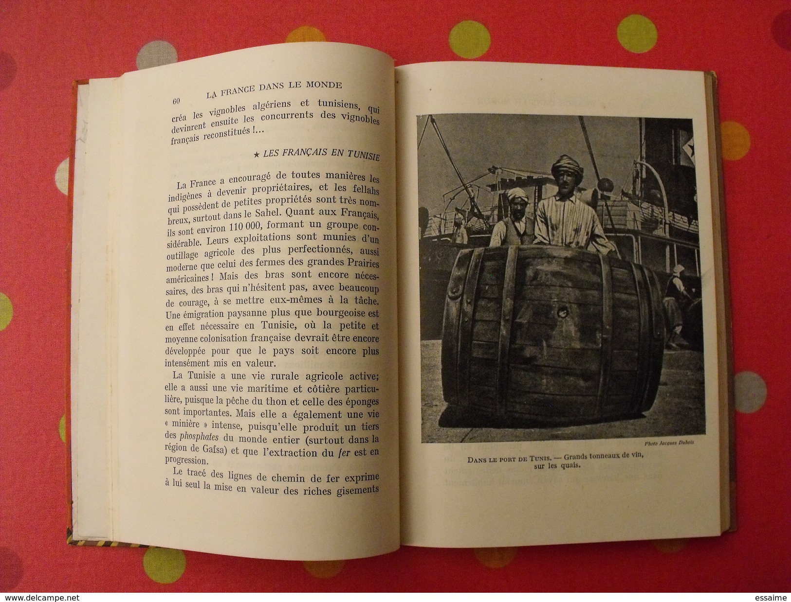 La France Dans Le Monde. Communauté Française. Colonies Indochine AOF AEF Madagascar 1946 - Ohne Zuordnung