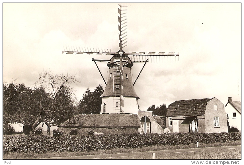 Milheeze : Molen ( Molenaar A.J. Verheyen ) - Gemert