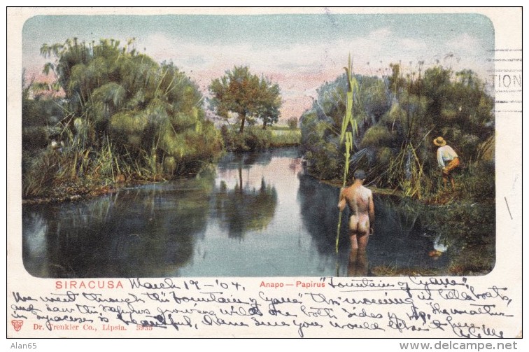 Siracusa Italy, Anapo River Scene, Reeds Papirus And Men In Water And On Shore, C1900s Vintage Postcard - Siracusa