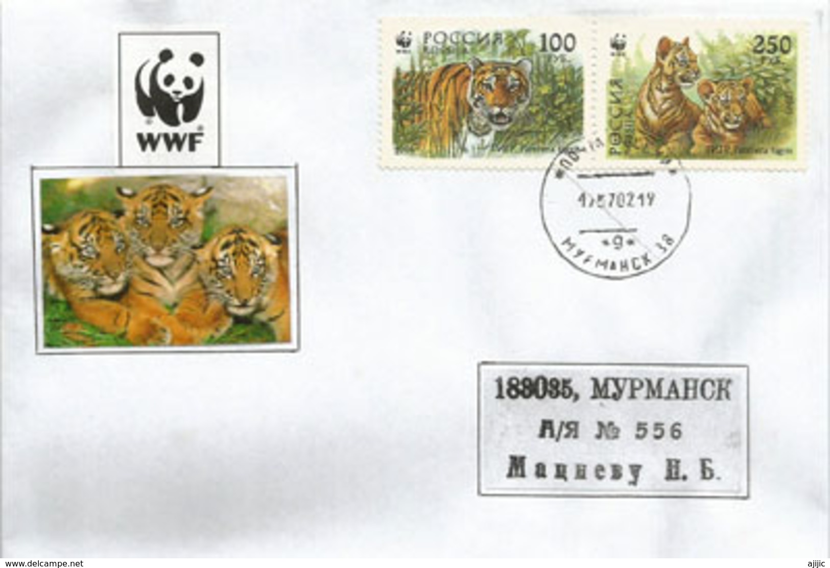 Le Tigre De Sibérie (tigre De L'Amour), Sur Lettre De Mourmansk (WWF) - Lettres & Documents