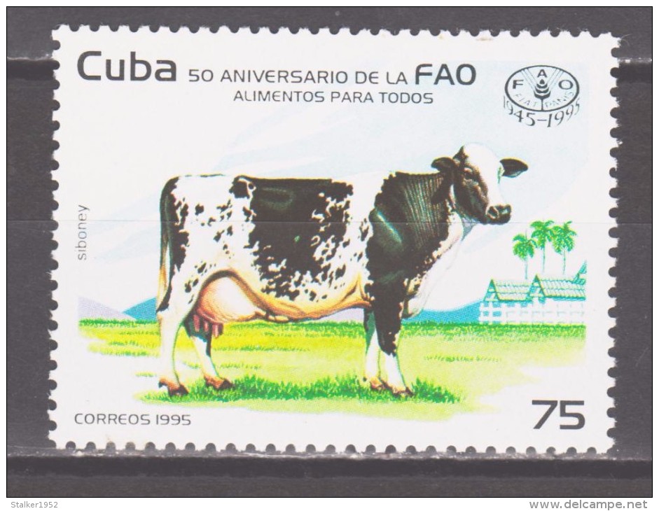Cuba 1995 Kuba Mi 3808 50th Anniversary Of FAO. &#1057;ow / 50 Jahre Welternährungsorganisation (FAO). Kuh **/MNH - Cows