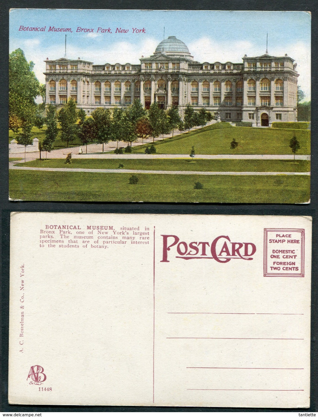 Old Postcard : BOTANICAL MUSEUM - BRONX PARK - NEW YORK - Museos